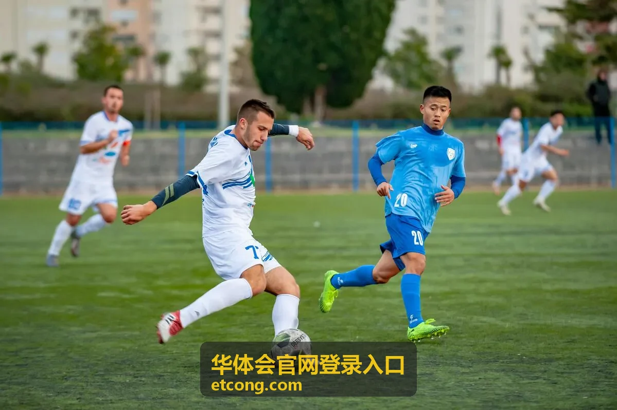 华体会官网登录入口 登录操作界面示意