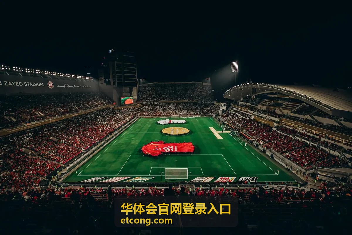 华体会官网登录入口账号安全与验证安全日志自查页面示意
