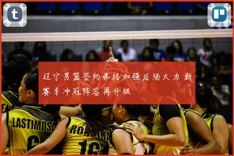 辽宁男篮签约弗格加强后场火力 新赛季冲冠阵容再升级