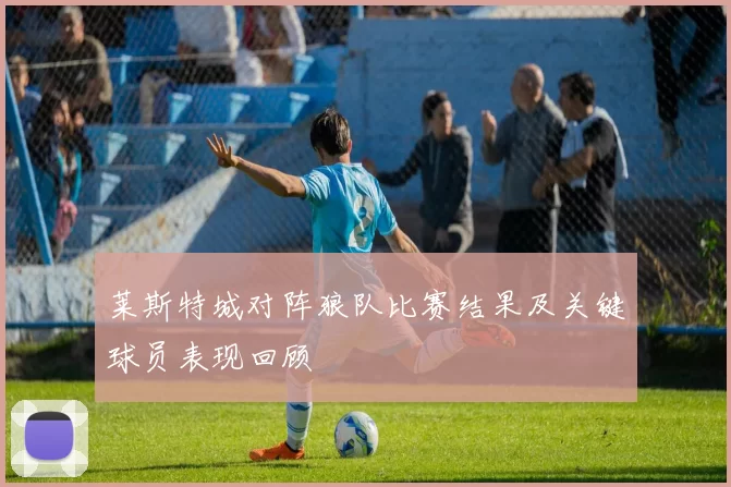 莱斯特城对阵狼队比赛结果及关键球员表现回顾