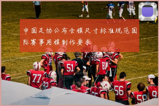 中国足协公布会旗尺寸标准规范国际赛事用旗制作要求