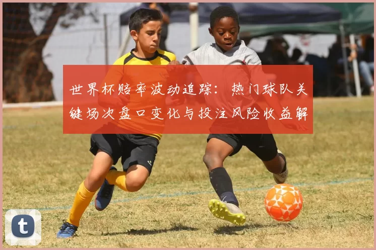 世界杯赔率波动追踪：热门球队关键场次盘口变化与投注风险收益解析